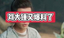 刘大锤爆料白鹿哭戏视频,演技爆发引发网友热议