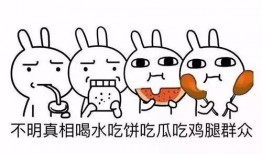 从婴儿开始吃瓜成圣笔趣阁免费,婴儿吃瓜成圣，笔趣阁免费连载传奇